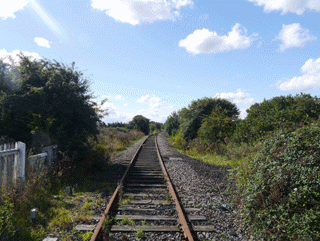 Whitmoor rail tracks