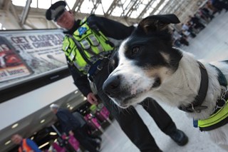 British Transport Police Dog Sergeant - George Pudney