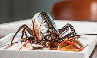 Freight’s pincer movement is just for starters