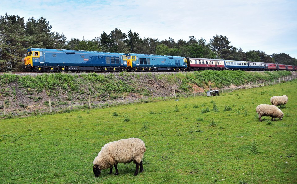 BREL D400 (50050) Fearless and D407 (50007) Hercules pass Creech Bottom on the newly-acquired section of the Swanage Railway between Wareham and Norden on June 11, with the return leg of a Derby-Swanage charter. MARK PIKE. 