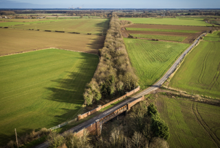 Ecology audits demanded for structures at risk of infilling