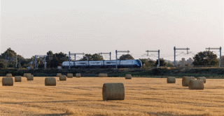 scheduled article test