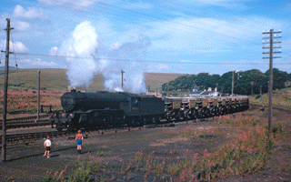 Waverley Line…next stop Carlisle?
